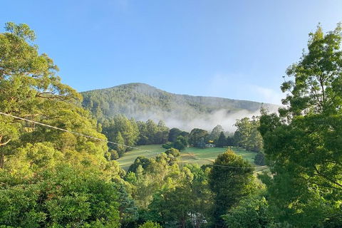 Hiking Tour To Aqueduct And Warburton Valley Lookout - Accommodation Fremantle 0