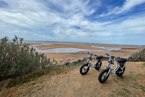 E-Bike Hire Super Cruzer In Phillip Island - Accommodation Fremantle 3