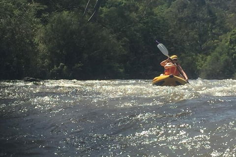 Yarra River Half-Day Rafting Experience - Accommodation Fremantle 5