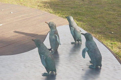 Phillip Island Penguin And Wildlife Tour - Accommodation Fremantle 14