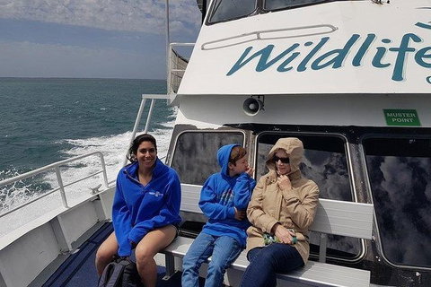 Phillip Island Penguin And Wildlife Tour - Accommodation Fremantle 15