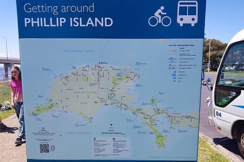 Phillip Island Penguin And Wildlife Tour - Accommodation Fremantle 28