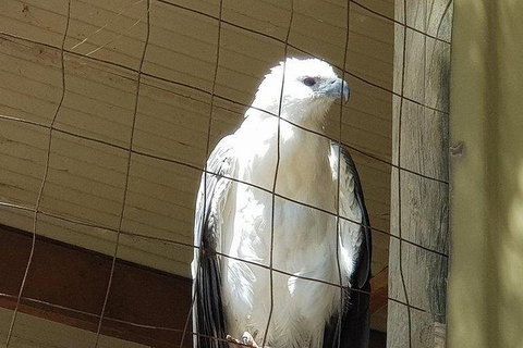 Phillip Island Penguin And Wildlife Tour - Accommodation Fremantle 21