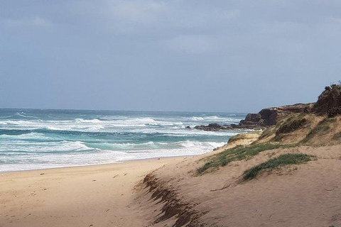 Phillip Island Penguin And Wildlife Tour - Accommodation Fremantle 10