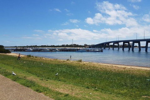 Phillip Island Penguin And Wildlife Tour - Accommodation Fremantle 24
