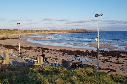 Phillip Island Penguin And Wildlife Tour - Accommodation Fremantle 8