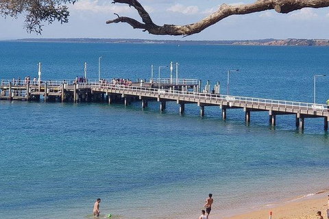 Phillip Island Penguin And Wildlife Tour - Accommodation Fremantle 2