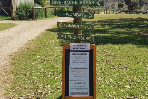 Phillip Island Penguin And Wildlife Tour - Accommodation Fremantle 4