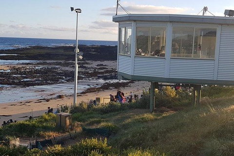 Phillip Island Penguin And Wildlife Tour - Accommodation Fremantle 33