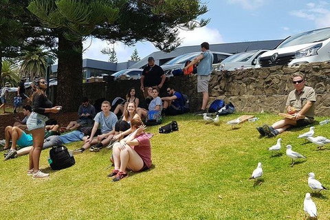 Phillip Island Penguin And Wildlife Tour - Accommodation Fremantle 22