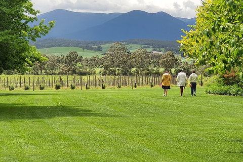 Yarra Valley Wine Tasting Day Tour From Melbourne - Accommodation Fremantle 6