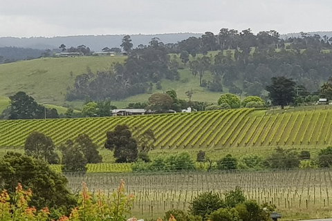 Yarra Valley Wine Tasting Day Tour From Melbourne - Accommodation Fremantle 0