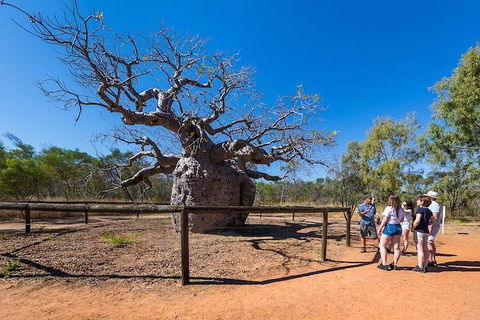 5 Day Bungle Bungles & Cattle Station Explorer - Accommodation Fremantle 2