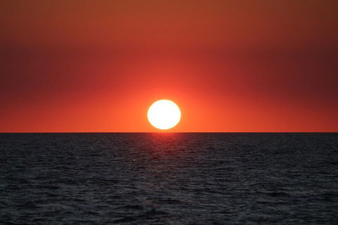 Roebuck Bay Snubfin Dolphin Cruise - Accommodation Fremantle 1