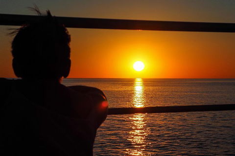 Roebuck Bay Snubfin Dolphin Cruise - Accommodation Fremantle 4