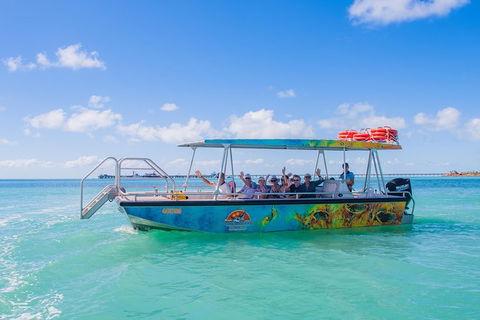 Dinosaur Adventure Tour - Accommodation Fremantle 3