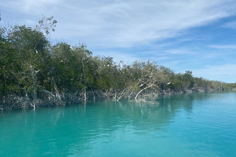 Dinosaur Adventure Tour - Accommodation Fremantle 12