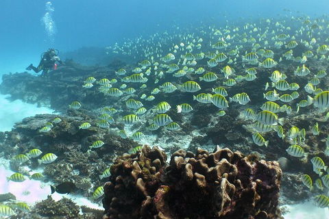 5 Night Ningaloo Reef Ningaloo Escape From Coral Bay - Accommodation Fremantle 5