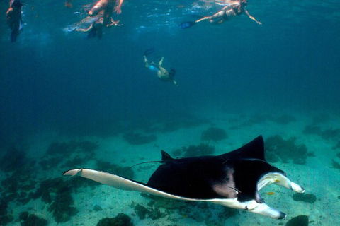 5 Night Ningaloo Reef Ningaloo Escape From Coral Bay - Accommodation Fremantle 1