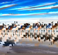 Broome Pre-sunset Camel Tour 30 minutes - Accommodation Fremantle