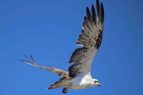 Romance Aircraft Flight + Scenic Tour + 3 Course Lunch + Beer Tasting + Hamper - Accommodation Fremantle 4