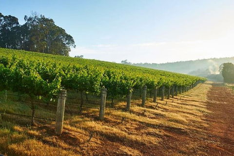 Botanical Gardens, Winery And Scenic Full Day Tour - Accommodation Fremantle 2