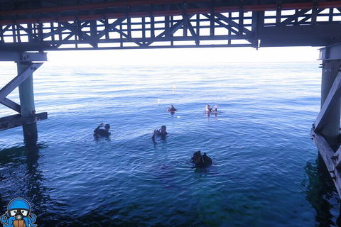 PADI Open Water Course - Accommodation Fremantle 3