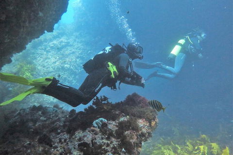 PADI Open Water Course - Accommodation Fremantle 2