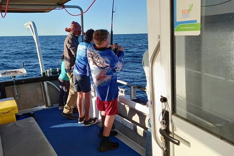 Geraldton Fishing Charter - Accommodation Fremantle 9