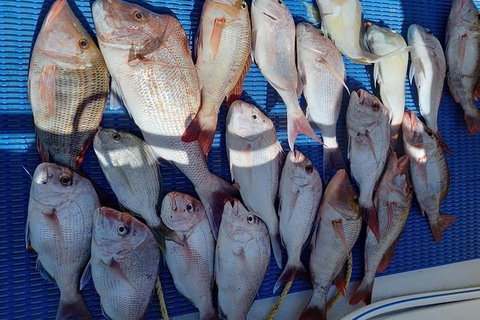 Geraldton Fishing Charter - Accommodation Fremantle 7