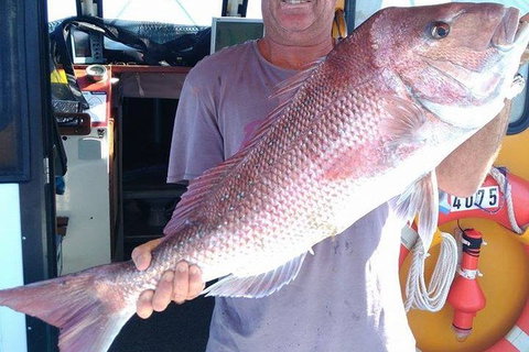 Geraldton Fishing Charter - Accommodation Fremantle 10