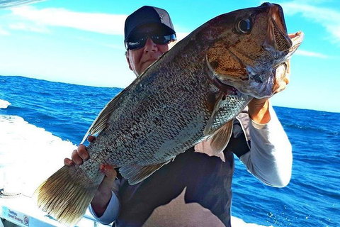 Geraldton Fishing Charter - Accommodation Fremantle 4