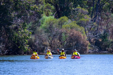 Private Guided River Kayak Tour - Accommodation Fremantle 6