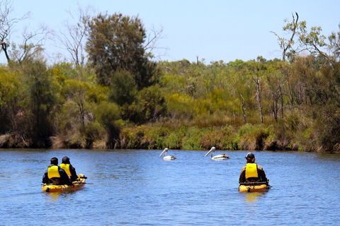 Private Guided River Kayak Tour - Accommodation Fremantle 4