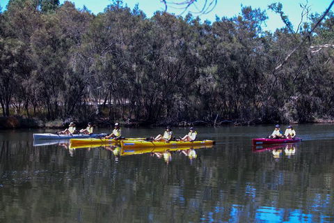 Private Guided River Kayak Tour - Accommodation Fremantle 5