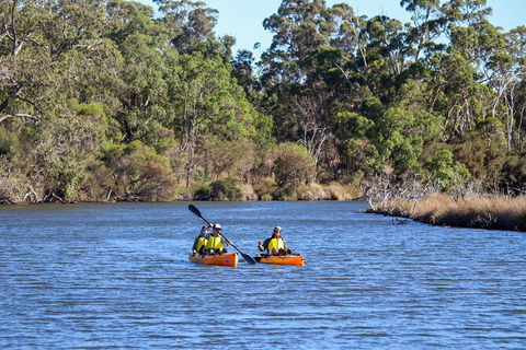 Private Guided River Kayak Tour - Accommodation Fremantle 7
