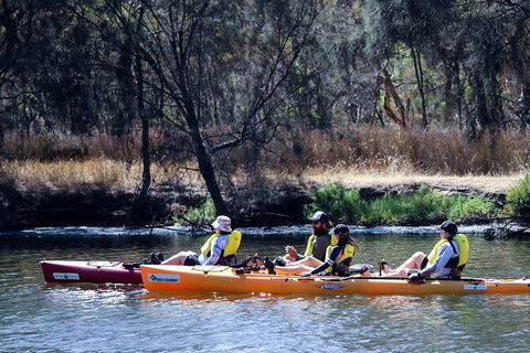 Private Guided River Kayak Tour - Accommodation Fremantle 3