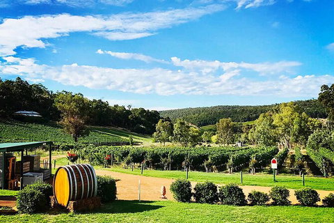 Bickley Valley Wine & Cider Tour - Premium Small Group Tour - Accommodation Fremantle 0