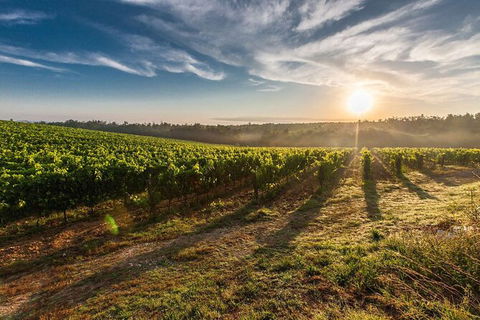Perth To Margaret River Wine Tour - 2 Day Premium Boutique Wine Tour Experience - Accommodation Fremantle 0