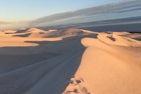 Pinnacles Desert Private Tour - Accommodation Fremantle 2