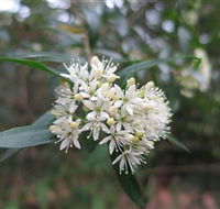 Booderee National Park - Accommodation Fremantle