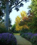Book Albury NSW Attractions Accommodation Fremantle Accommodation Fremantle