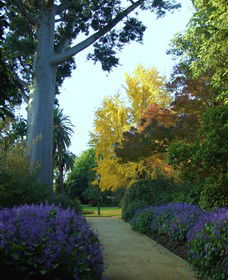 Albury Botanic Garden - Accommodation Fremantle 0