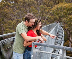 Valley Of The Giants Tree Top Walk - Accommodation Fremantle 0