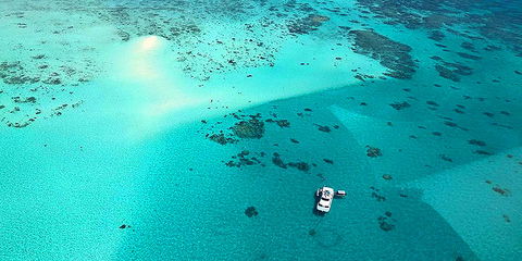 Ocean Free & Ocean Freedom - Cairns Premier Reef And Island Tours - Accommodation Fremantle 3