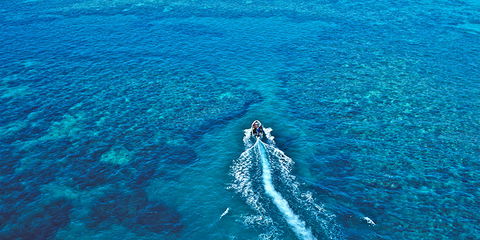 Ocean Free & Ocean Freedom - Cairns Premier Reef And Island Tours - Accommodation Fremantle 4