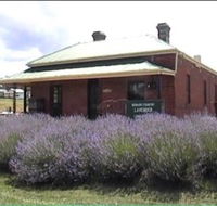 Lavender House in Railway Park - Accommodation Fremantle