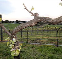 Nalbra Estate Wines - Accommodation Fremantle