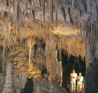Mammoth Cave - Accommodation Fremantle