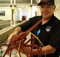 Lobster Shack - Accommodation Fremantle